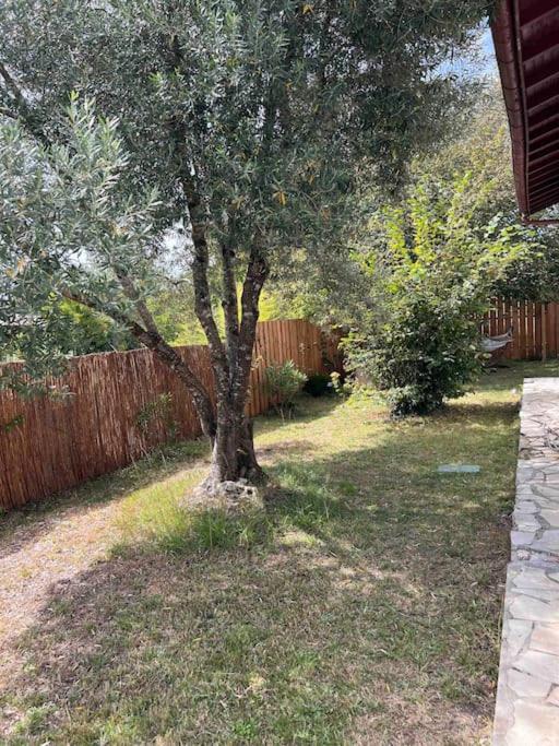 Agreable Maison Landaise Proche Du Lac Sanguinet Dış mekan fotoğraf