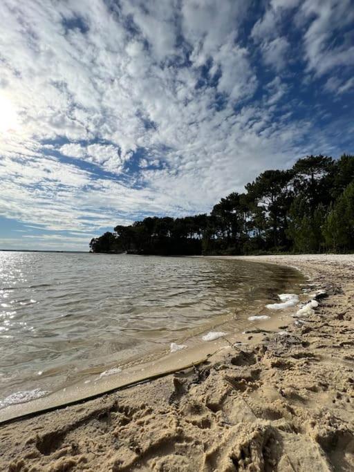 Agreable Maison Landaise Proche Du Lac Sanguinet Dış mekan fotoğraf