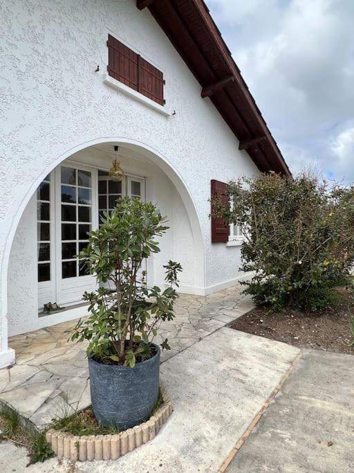 Agreable Maison Landaise Proche Du Lac Sanguinet Dış mekan fotoğraf