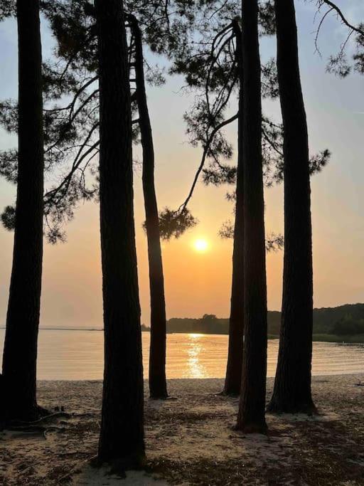 Agreable Maison Landaise Proche Du Lac Sanguinet Dış mekan fotoğraf