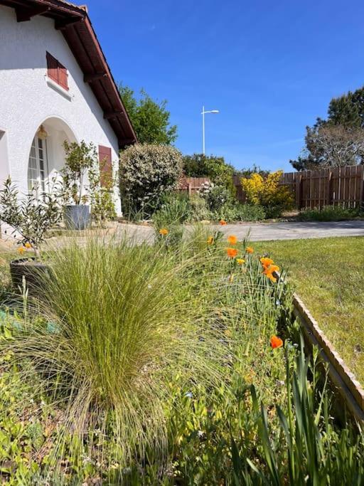 Agreable Maison Landaise Proche Du Lac Sanguinet Dış mekan fotoğraf